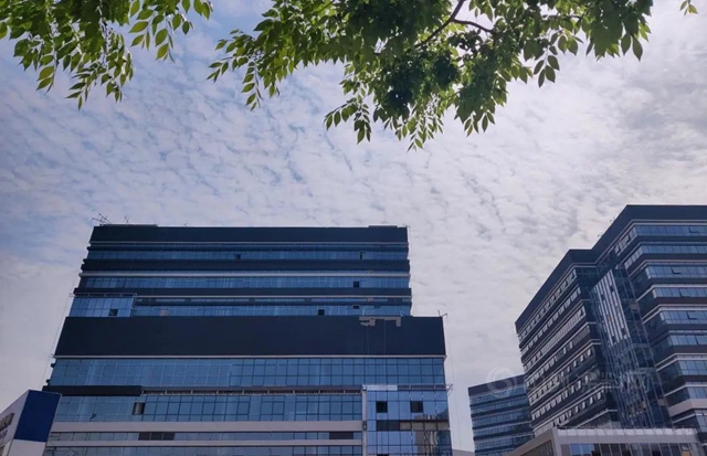三棵樹工程助力海爾物聯網全球創新中心建設，為(wei) 智慧園區發展添彩賦能
