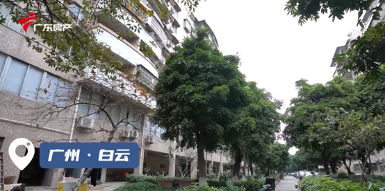 “老破小”變身“法式美家”，集泰股份助力《舊房大改造》