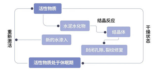 東(dong) 方雨虹：不一樣的防水塗料
