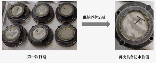 東(dong) 方雨虹：不一樣的防水塗料