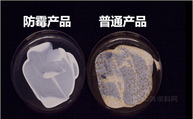 助力醫療丨美塗士醫院係統塗料配套體(ti) 係