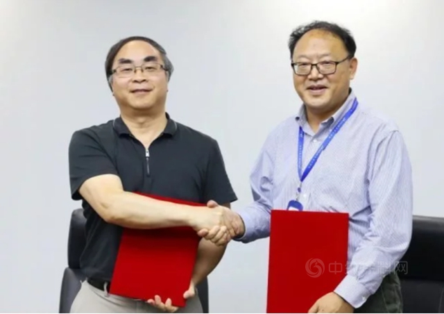 馳騁百萬(wan) 億(yi) 新賽道！學習(xi) 東(dong) 方雨虹如何逐光而行