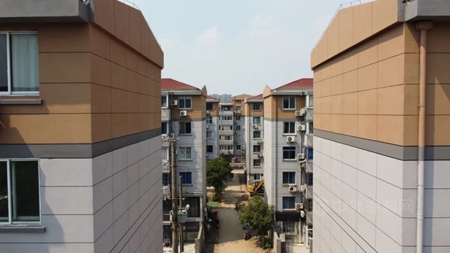 塗料今年各種難！跟住大佬，幹就對了，立邦/三棵樹/嘉寶莉/美塗士在幹啥