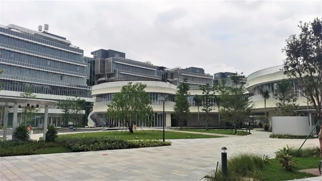 三棵樹綠色一站式解決(jue) 方案助推校園環境再升級