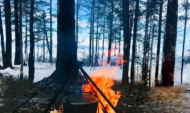 塗料行業(ye) 最慘的上半年，瓷磚膠卻成爆款