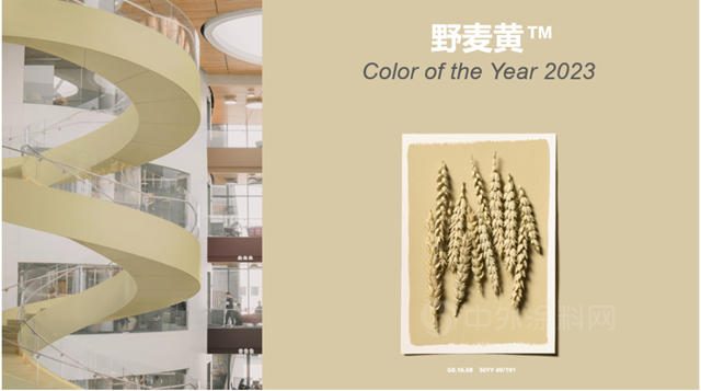阿克蘇諾貝爾2023年色彩趨勢，感受工業(ye) 塗料新風尚