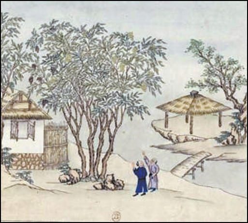 北京晚報：以漆為(wei) 姓 低調而恒久