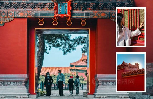 中國紅 | 寒露霜葉紅，共賞國色美 | 2022君子蘭(lan) 流行色彩趨勢