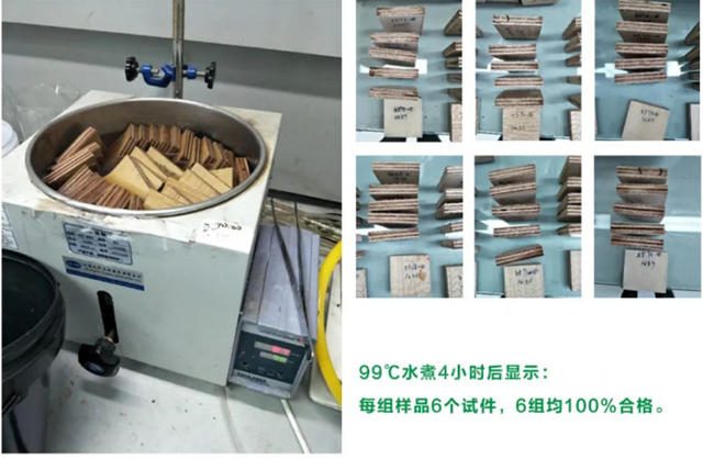 三棵樹自主研發小森綠芯水基膠，零醛添加綠色健康助力ENF級新國標環保板材換“芯”升級