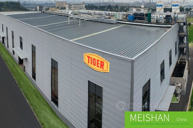 老虎中國新管理層就位 領導層擴充至三人