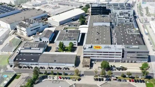 老虎中國新管理層就位 領導層擴充至三人