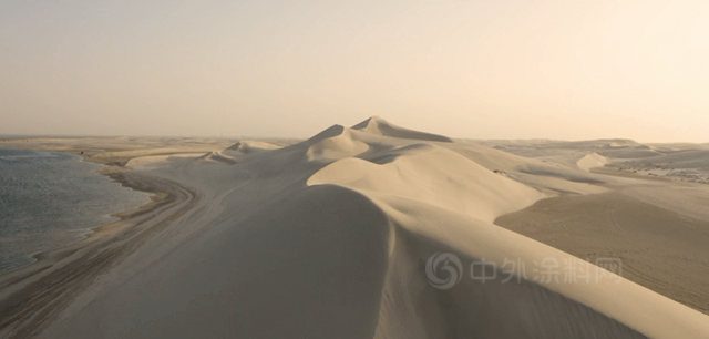 流行趨勢 | 紫荊花2023年度流行色發布！