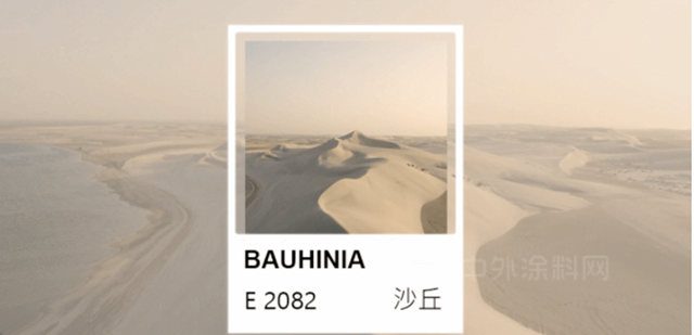 流行趨勢 | 紫荊花2023年度流行色發布！