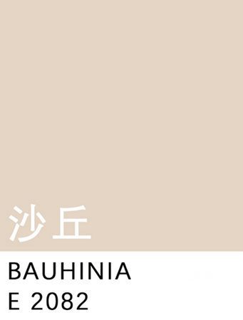 流行趨勢 | 紫荊花2023年度流行色發布！
