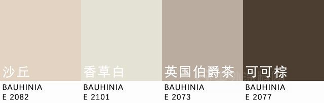 流行趨勢 | 紫荊花2023年度流行色發布！