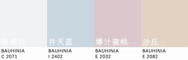 流行趨勢 | 紫荊花2023年度流行色發布！