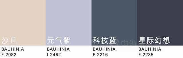 流行趨勢 | 紫荊花2023年度流行色發布！