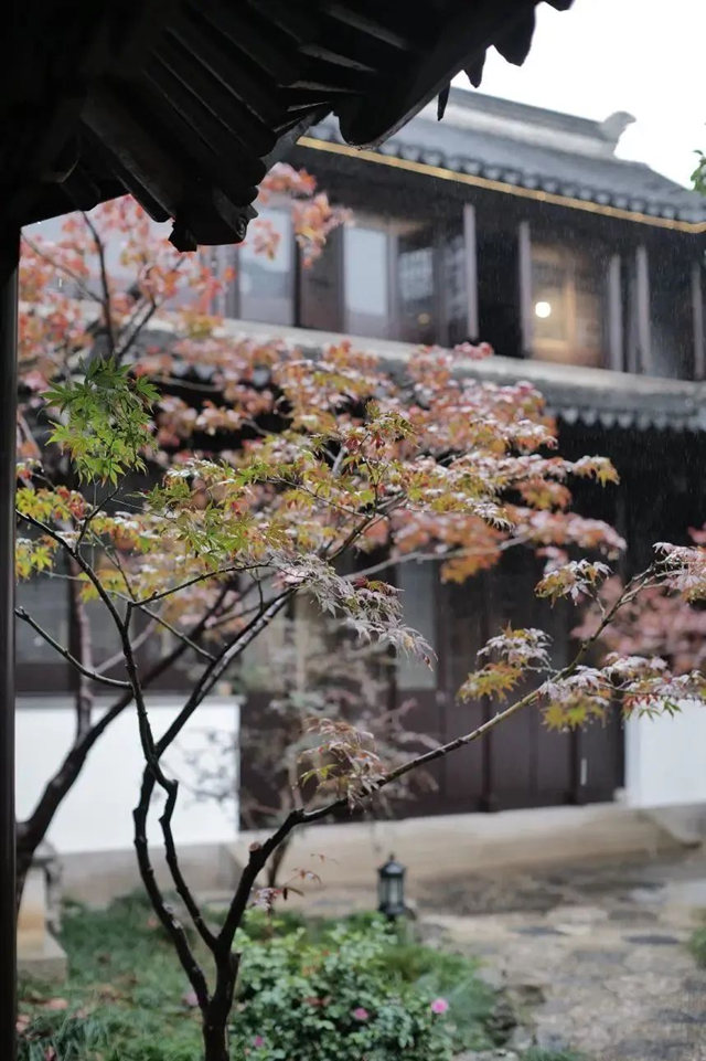 多樂(le) 士 X「山塘·浮生集」：色彩為(wei) 筆 空間為(wei) 籍 續寫(xie) 姑蘇文脈