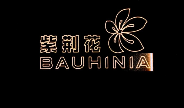 紫荊花開40年究竟有多美？驚動全國塗料經銷商飛赴南寧探尋詩意和遠方
