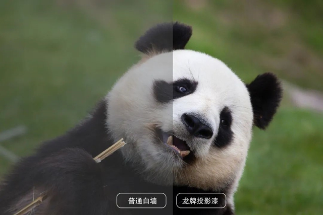 優(you) 品鑒賞 央企品質 | ​龍牌投影漆