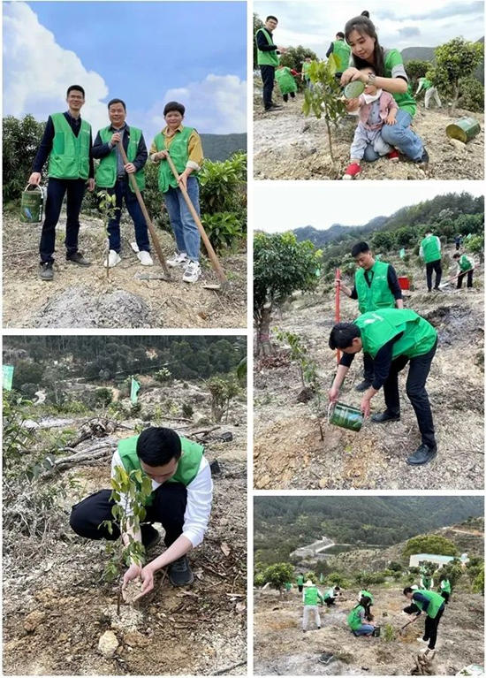 2023三棵樹公益周丨春風十裏，“植”樹有你，三棵樹義(yi) 務植樹在行動