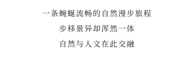 薩鉑再度攜手WAD豪宅精造空間，打造現代“野奢”
