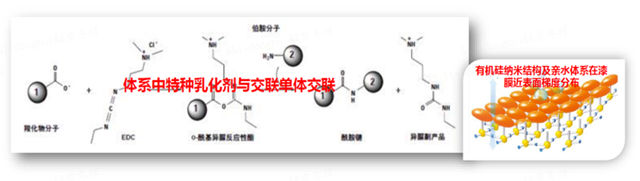 巴德富新品上市|低碳高兼容罩麵乳液RS-996CD