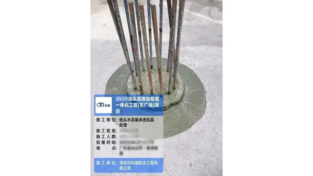 科順股份“高速度”建設：粵東(dong) 最大，核心樞紐新地標！