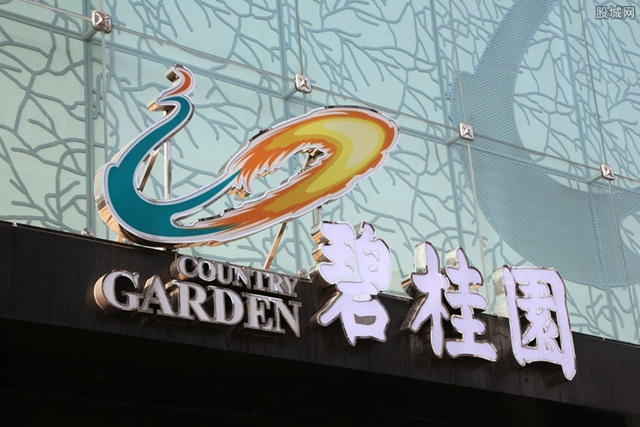 碧桂園的深刻反思