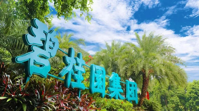 國家統計局回應碧桂園事件！初步展期方案出爐