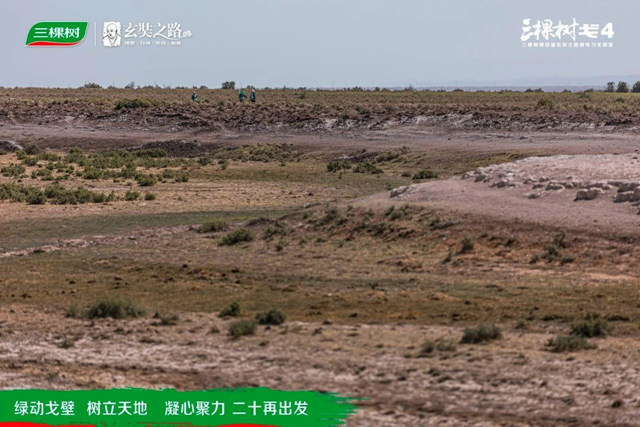 綠動戈壁·樹立天地丨戈4第二日：穿越鹽堿地，征服“火焰山”