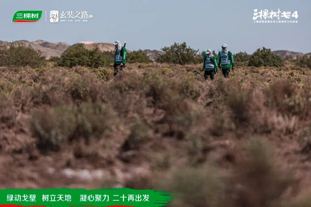 綠動戈壁·樹立天地丨戈4第二日：穿越鹽堿地，征服“火焰山”