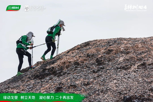 綠動戈壁·樹立天地丨戈4第二日：穿越鹽堿地，征服“火焰山”