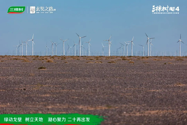 綠動戈壁·樹立天地丨戈4第三日：穿越風車陣，勇往直前，全員到達！