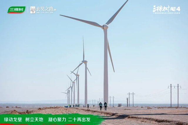 綠動戈壁·樹立天地丨戈4第三日：穿越風車陣，勇往直前，全員到達！