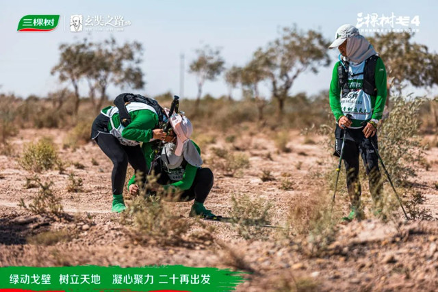 綠動戈壁·樹立天地丨戈4第三日：穿越風車陣，勇往直前，全員到達！