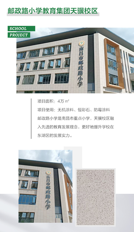 三棵樹工程助推校園環境再升級，嗬護學子健康成長
