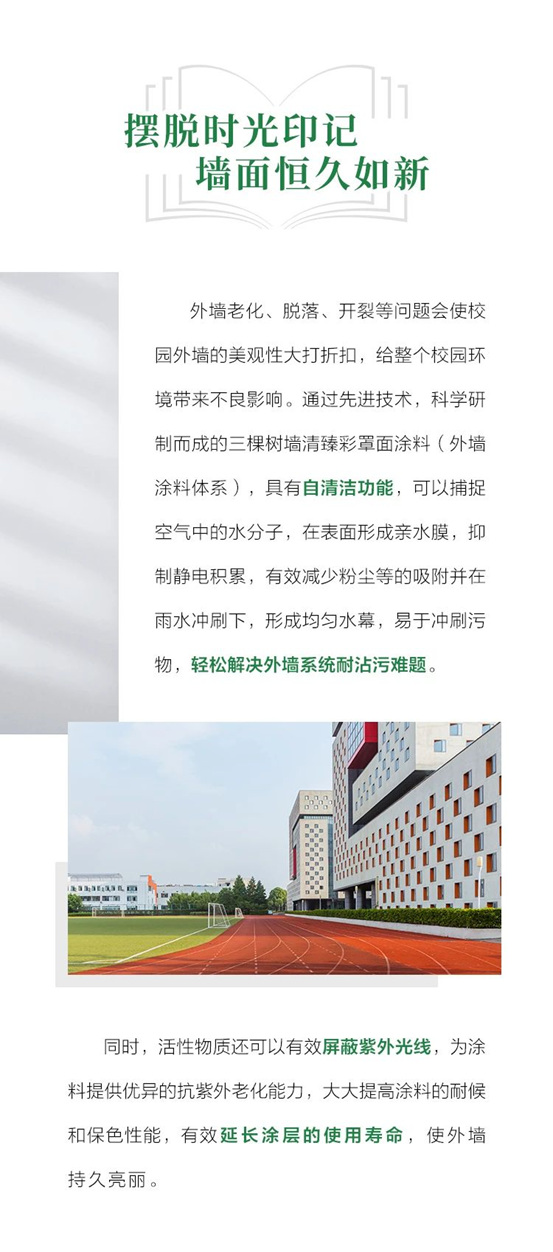 三棵樹工程助推校園環境再升級，嗬護學子健康成長