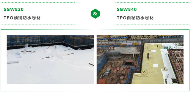 三棵樹防水助力西部（重慶）科學城育才中學校項目建設
