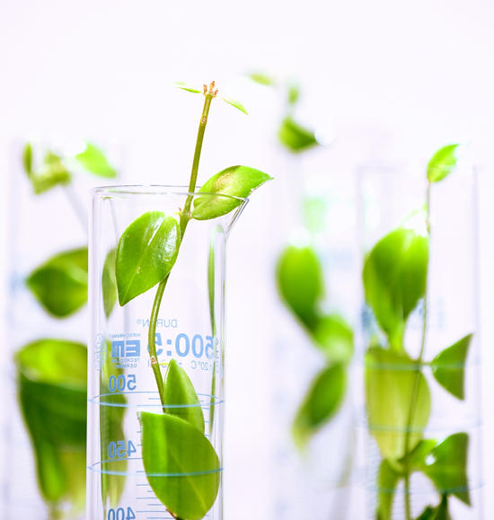 贏創推出TEGO® Foamex 8880消泡劑乳液，兼具矽氧烷和生物基材料的優(you) 良特性