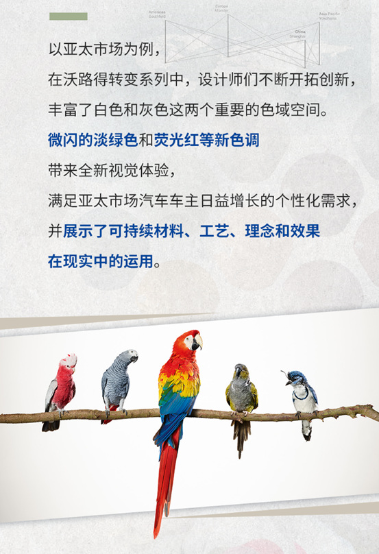 巴斯夫鸚鵡®修補漆共迎沃路得轉變，助力汽車色彩新趨勢