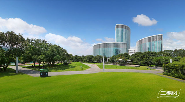 三棵樹工程攜手精工裝合作夥(huo) 伴共贏室內(nei) 空間美學定製新賽道