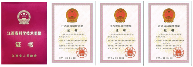 【廣源集團】江西省科學進步獎二等獎