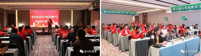 亞(ya) 卡仿石漆觀摩訪學之旅