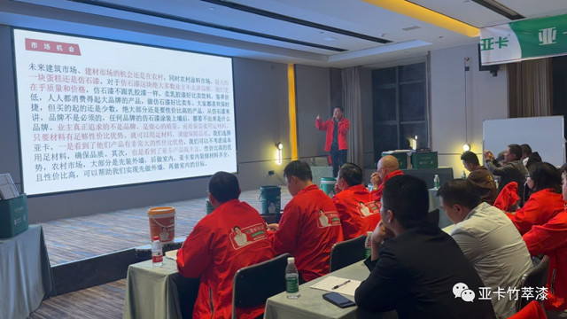 亞(ya) 卡仿石漆觀摩訪學之旅