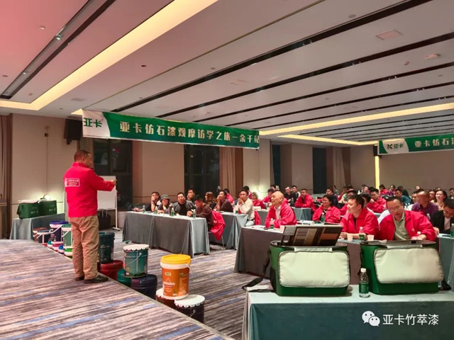 亞(ya) 卡仿石漆觀摩訪學之旅