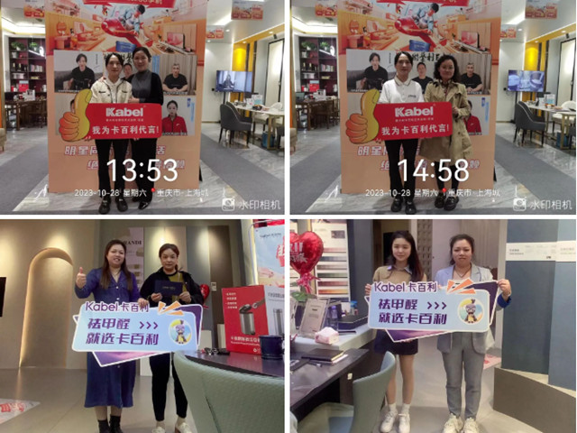 再創佳績！卡百利雙十一斬獲塗料品牌成交榜TOP3