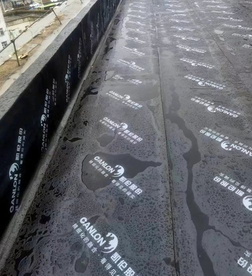 什麽(me) 叫雙向奔赴啊！融合防水助力舊改，讓哈爾濱感受“南方小土豆”的溫暖