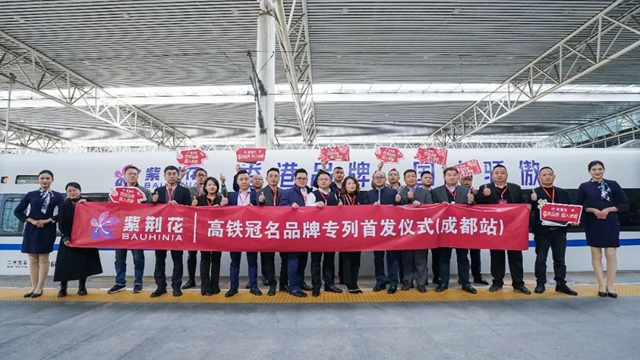 紫荊花高鐵專(zhuan) 列，2024繼續領跑加速度