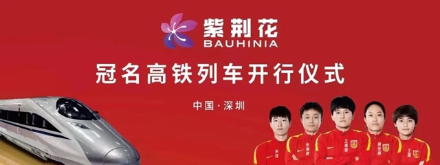 紫荊花高鐵專(zhuan) 列，2024繼續領跑加速度